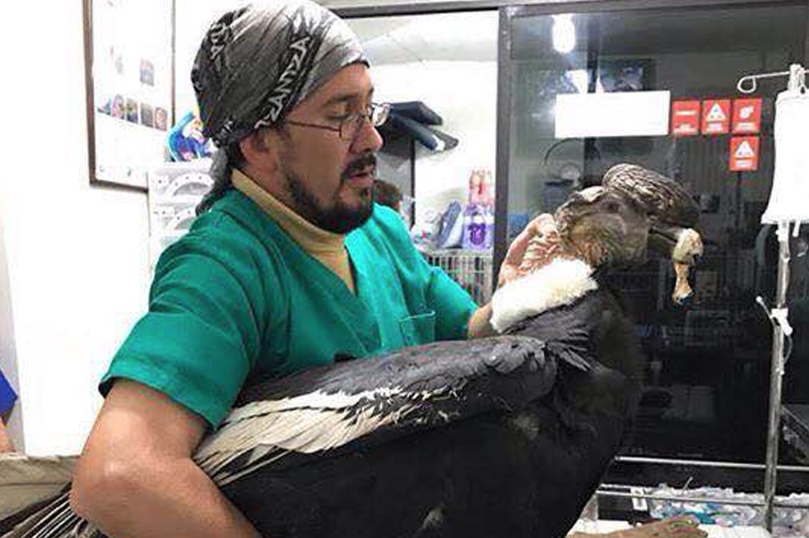 Hospital Veterinario Planeta Vida  - Latacunga Ecuador